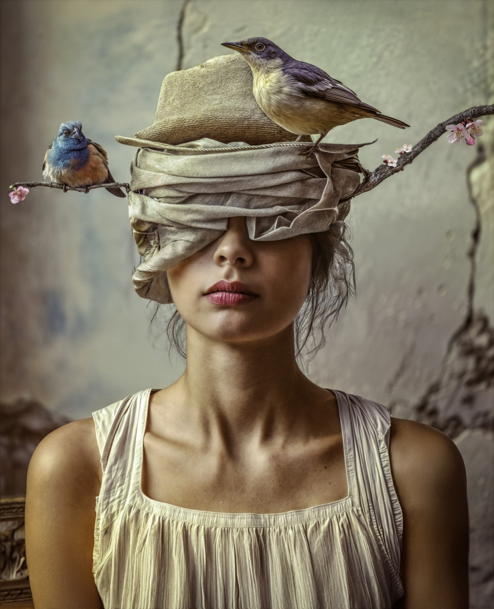 Anonymous - Nesting Instinct 2024